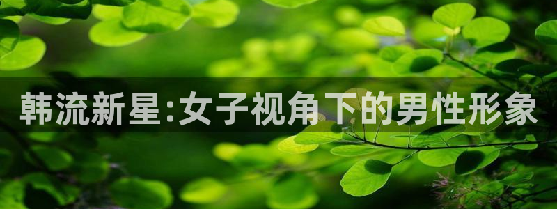 一拳超人动漫之家